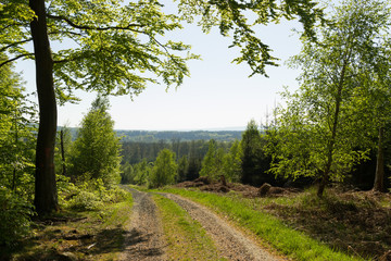 Fototapeta premium Misty view from the dirtroad