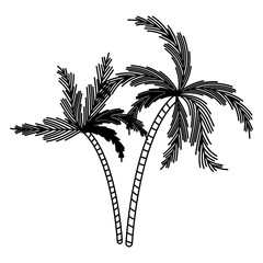 Obraz premium black silhouette with two palm trees vector illustration