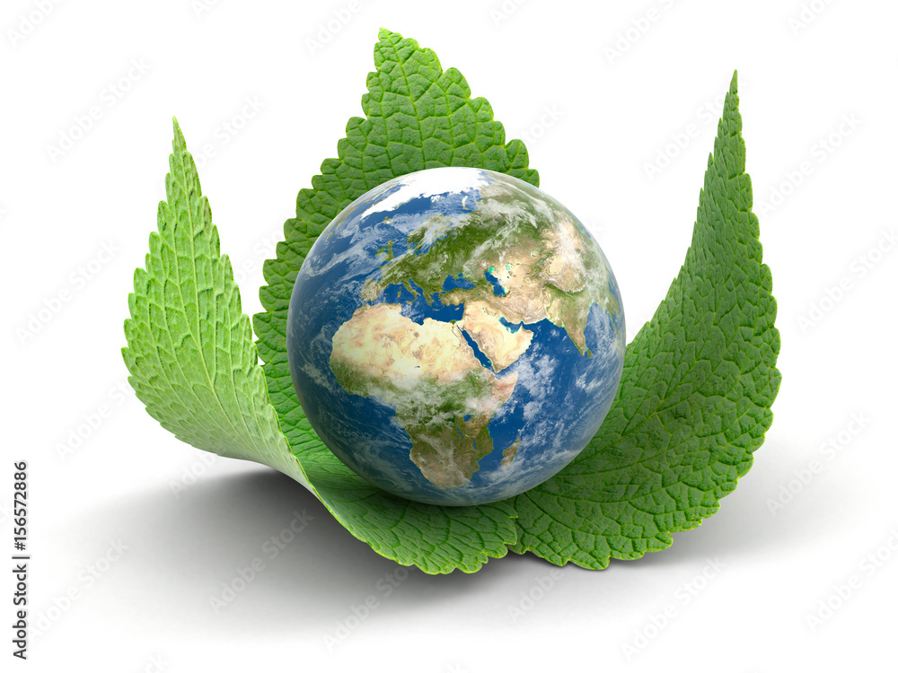 Poster 3d globe on leaves. image with clipping path