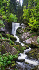 Black Forest - Triberg Waterfall with green leaves