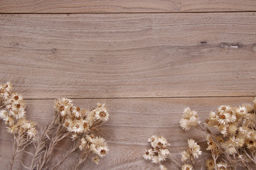 Stock photography flat lay template wooden plank table cute daisy dried flower