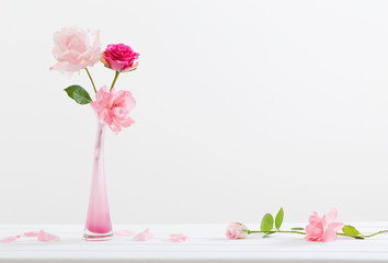 pink roses on white background