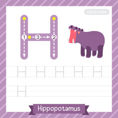 Letter H uppercase tracing practice worksheet with hippopotamus for kids learning to write. Vector Illustration.
