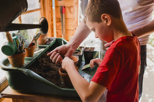 Father and son planting and sowing seeds