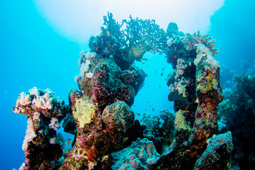 Coraya Bay house reef
