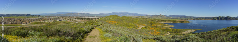 Wall mural Lots of wild flower blossom at Diamond Valley Lake