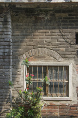 Old ruin brick plaster wall and rustic window nature plant pot