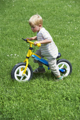 happy toddler boy riding bike without pedals. Kids enjoying a bicycle ride. Sport concept. Kids ride bicycle. First bike for little child. Active toddler kid playing and cycling outdoors.