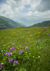 Obraz premium Mountains of Republic of Georgia 