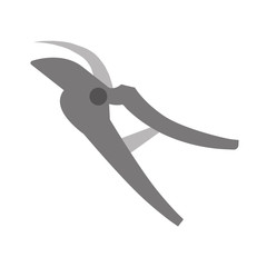 pruners tool gardening vector icon illustration graphic design