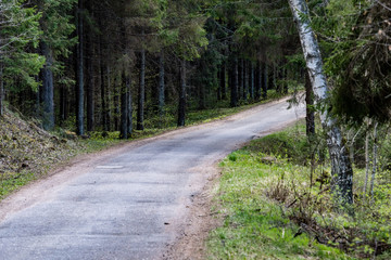 Fototapeta na wymiar country gravel road