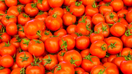group of red ripe tomatoes