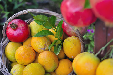 Pomegranates and oranges