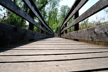 Ponte passerella in legno nel bosco