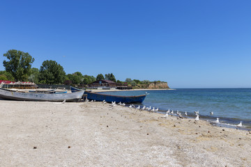 Obraz na płótnie Canvas Boats and seagull on the beach in East Europe