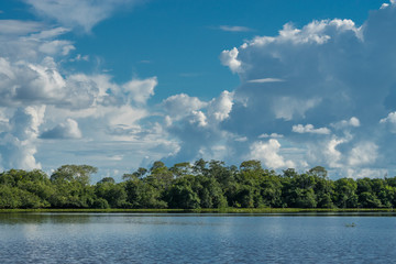 Landschaft im Pantanal