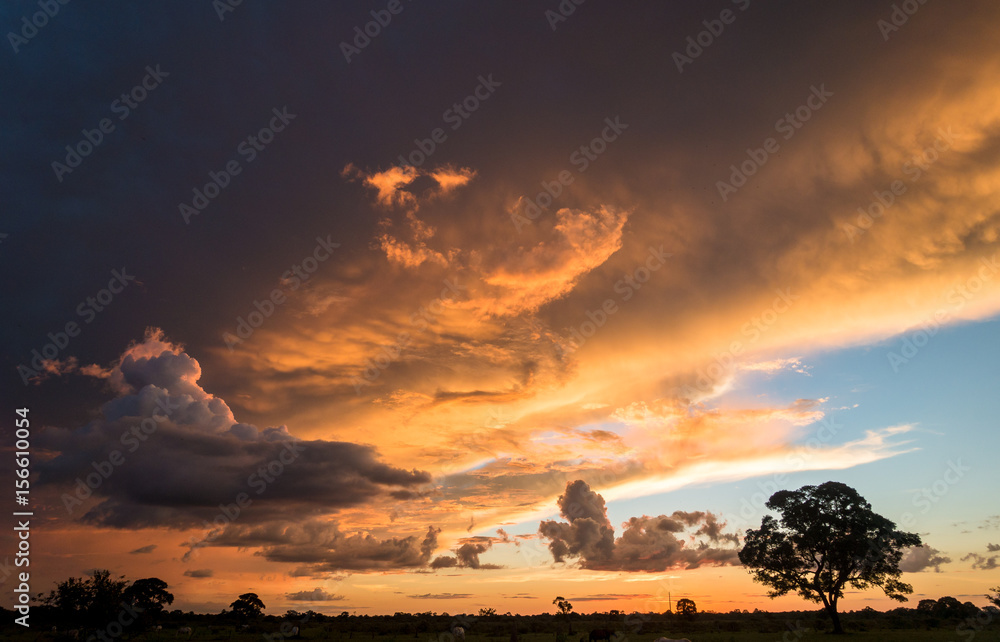 Wall mural sonnenuntergangsstimmung im pantanal