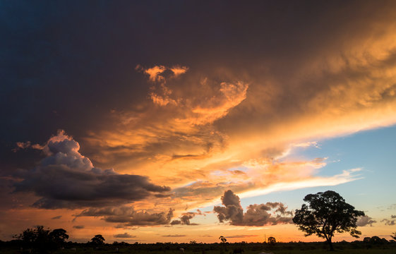 Sonnenuntergangsstimmung im Pantanal