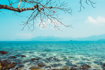 summer time let go to the beach, ocean life, happy time