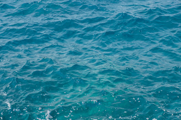 summer time let go to the beach, ocean life, happy time