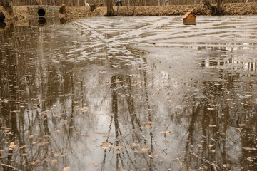 Pond in Bitsa park in Moscow, Russia