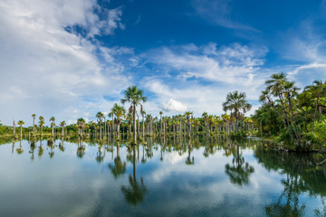 Lagoa das Araras, Mato Grosso, Brasilien