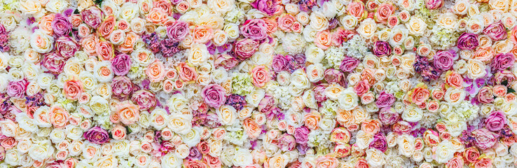 Fototapeta premium Tło ściany kwiaty z niesamowitymi czerwonymi i białymi różami, dekoracja ślubna, ręcznie robione