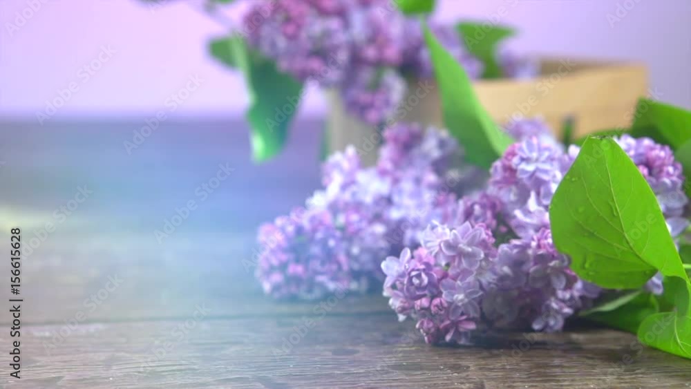 Poster Lilac spring flowers bunch over wooden background. 3840X2160 4K UHD video. Slow motion 240 fps