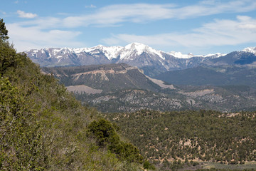 Green hillside in the Horse Gulch area of Durango, Colorado