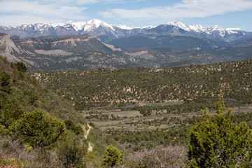 Landscape of Telegraph trail in Durango, Colorado