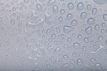 Drops of water on a color background. Gray