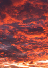 Fototapeta na wymiar Sky with red and gray clouds