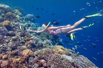 woman swimming underwater playing with colorful fish near coral reef © soft_light