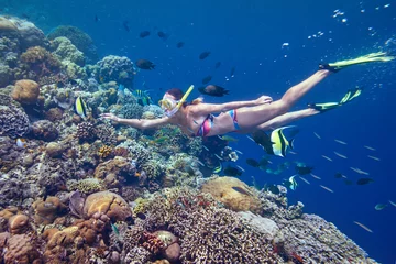 Fototapete Tauchen woman swimming underwater playing with colorful fish near coral reef  © soft_light