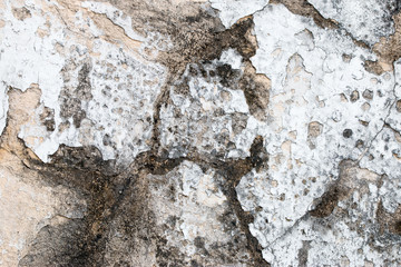 white concrete wall texture