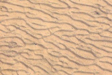 sand texture of sandy beach