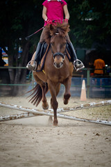 Horse jumping and running.