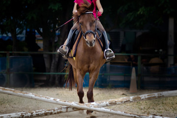 Horse jumping and running.