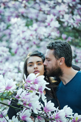 couple in love, man kissing woman at blossoming trees, magnolia