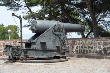 Fototapeta na wymiar Old cannon