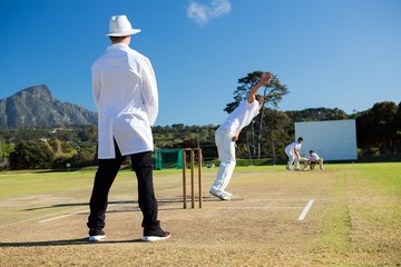 Sports team playing cricket on pitch - Powered by Adobe