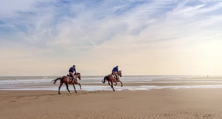 Afwasbaar Fotobehang Paardrijden galopperen op het strand bij zonsopgang