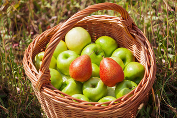 Wicker basket with green apples and red pears on grass.