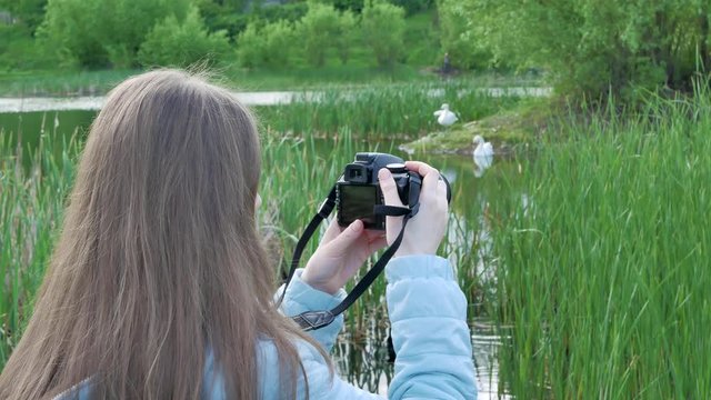 The photographer girl shoots a video of a swan with a professional camera on the banks of the river