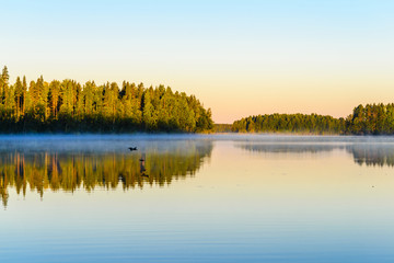 Morning landscape of the lake covered with haze. Ducks fly over the lake.
