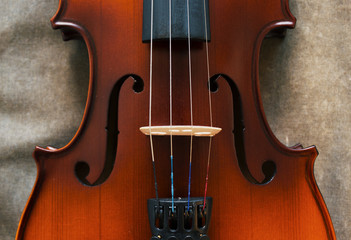 Violin