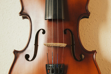 Violin