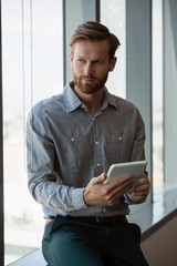 Male executive using digital tablet near window