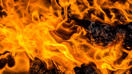 Płomienny żar © Janusz