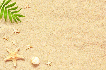 Fototapeta na wymiar Sea sand with starfish and shells. Top view with copy space